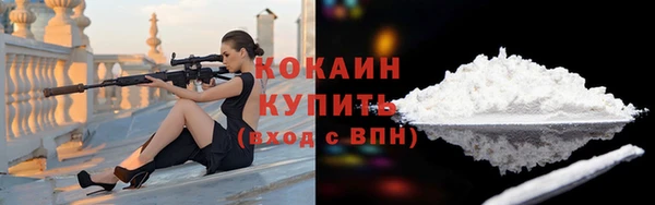 соль ск Абаза