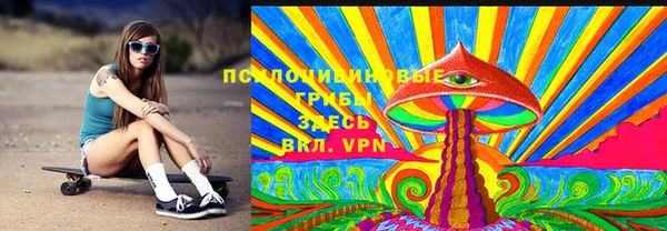 соль ск Абаза