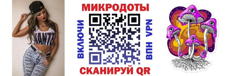 ОМГ ОМГ ссылки  Циолковский  Псилоцибиновые грибы Psilocybe 