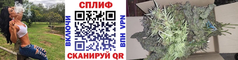 Бошки Шишки конопля  Циолковский 